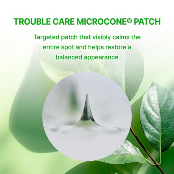 AcroPass - Trouble Care Microcone Patch Small (9 patches) - Imagen 2